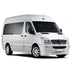 Luxury Vans