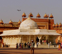 Same Day Tours